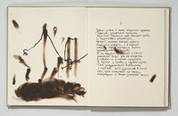 https://mediabank.vanabbemuseum.nl/vam/files/alexandria/publicaties/BrodskyTapies02.jpg