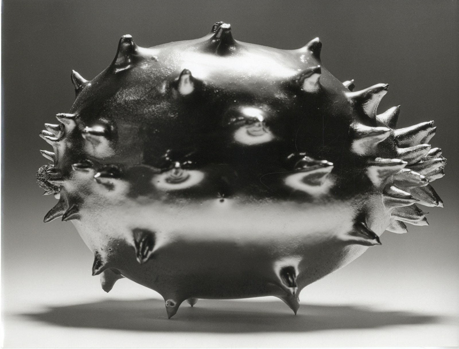 https://mediabank.vanabbemuseum.nl/vam/files/alexandria/publicaties/2020-4/28489%20strik001.jpg