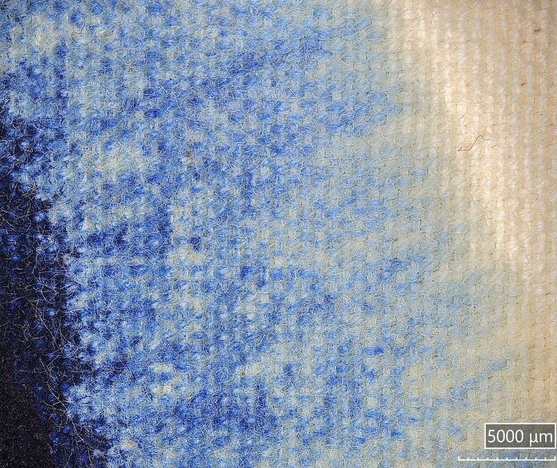 Color Field Augmented Viewing Study