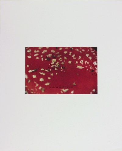 Da gefällt`s mir besser als in Westfalen, Eldorado 1974-1976