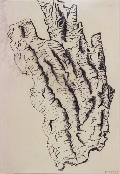 Écorce de chêne-liège