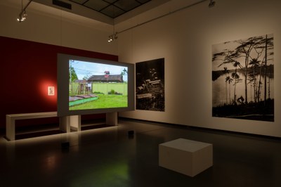 Fragments [of a desire for revolution]