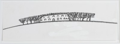 Genieten van de schoonheid van de vlakte