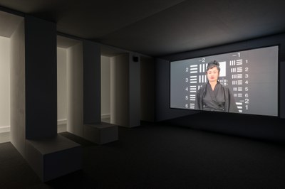 HOW NOT TO BE SEEN. A Fucking Didactic Educational MOV file