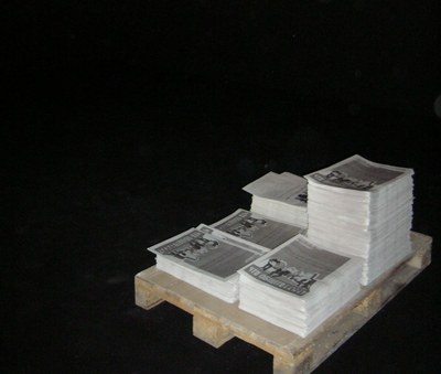 Newspaper "Chto Delat? / What is to be done?"