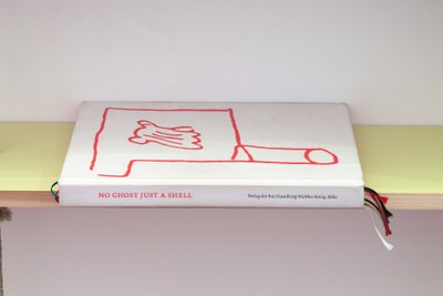 No Ghost Just a Shell