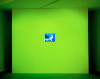 So Different...and Yet