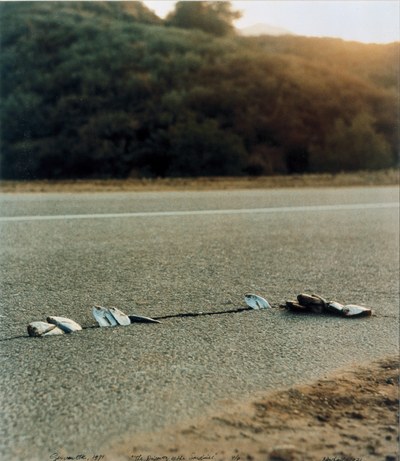 The discovery of the sardines