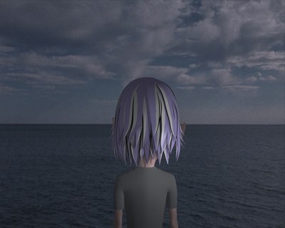 Witness Screen / Écran Témoin