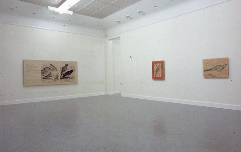 https://mediabank.vanabbemuseum.nl/vam/files/alexandria/dia-archief/1989/kleerebezem/kleerebezem1.jpg