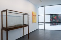 https://mediabank.vanabbemuseum.nl/vam/files/alexandria/publiciteit/zaaloverzichten/2025/oog_alexi-meskhishvili/20260105%2052.jpg