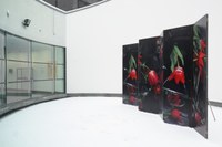 https://mediabank.vanabbemuseum.nl/vam/files/alexandria/publiciteit/zaaloverzichten/2025/oog_alexi-meskhishvili/20260105%2068.jpg