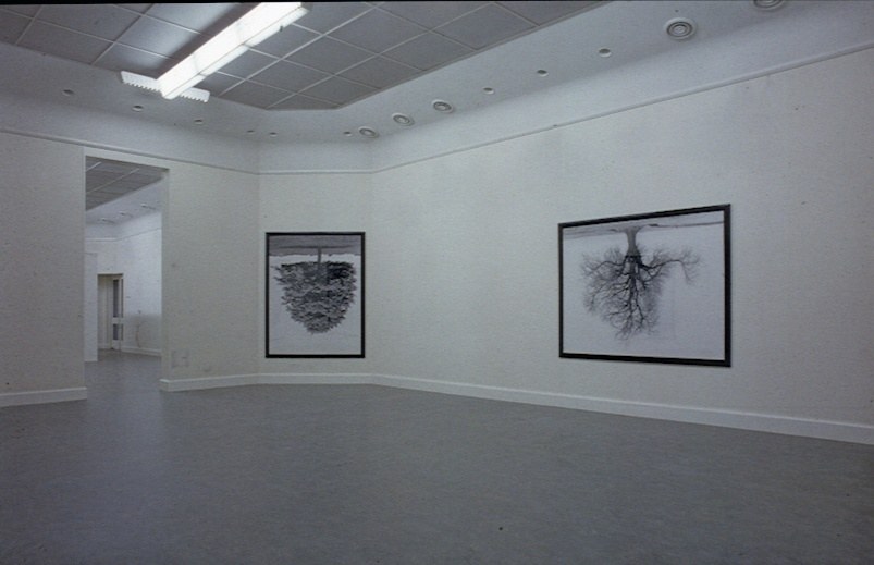 https://mediabank.vanabbemuseum.nl/vam/files/alexandria/dia-archief/1989/graham_rodney/graham_rodney1.jpg