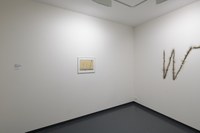https://mediabank.vanabbemuseum.nl/vam/files/alexandria/publiciteit/zaaloverzichten/2018/urgencyroompolen/_DSC7966.jpg