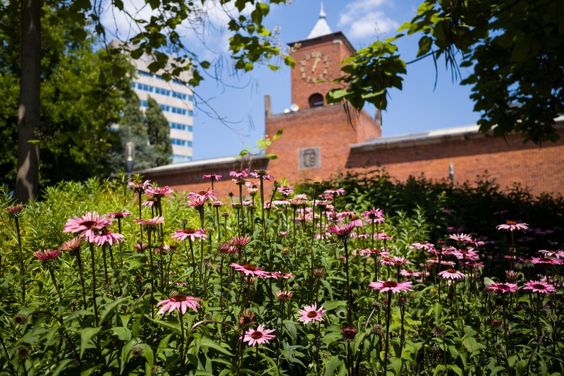 Garden tour and workshop!