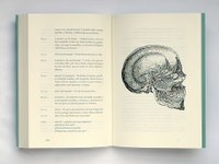 https://mediabank.vanabbemuseum.nl/vam/files/alexandria/publicaties/2020-5/LeonFerrariBasilica02.jpg