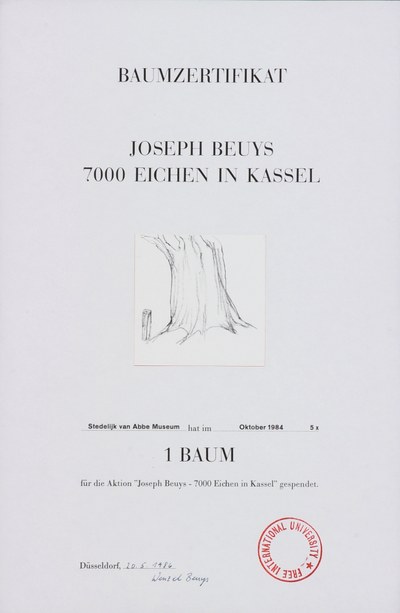 5 von 7000 Eichen, Kassel