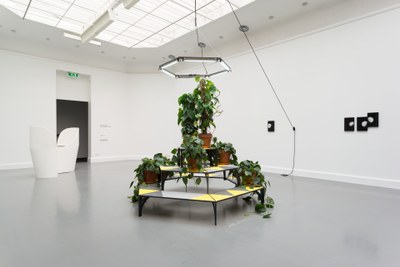 À Bras Le Corps - with Philodendron (to Amalia Pica)