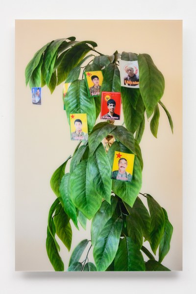 Anatomy of a Revolution: Rojava