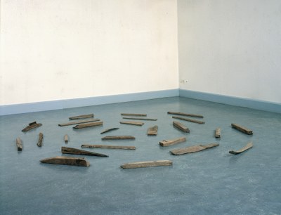 River Avon Driftwood