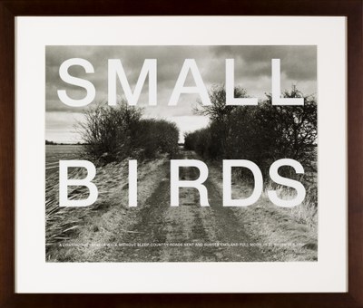 Small birds; A continuous 101 mile walk without sleep country roads Kent and Sussex England full moon 10 11 November, 1992