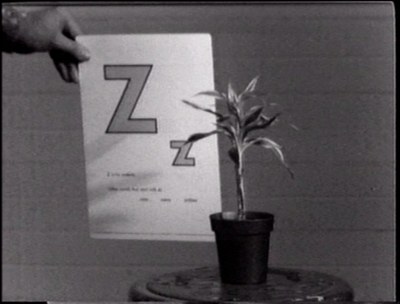Teaching a Plant the Alphabet