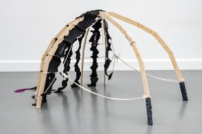 The Naughty Crinoline