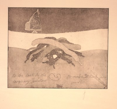 To the Last of the Imaginary solutions