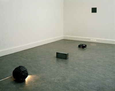 Un disegno e un particolare a est, trecento milioni di anni a ovest