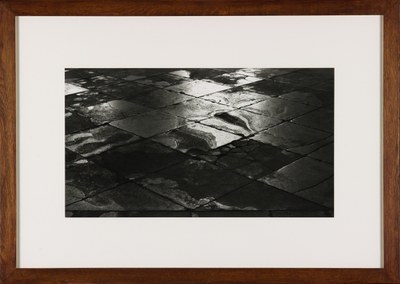 Walking South for Seven Days England Winter