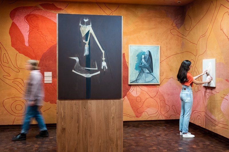 Examenrondleiding havo