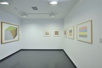 https://mediabank.vanabbemuseum.nl/vam/files/alexandria/publiciteit/zaaloverzichten/2009/kabinetjesminimalart/_DSC3384.jpg