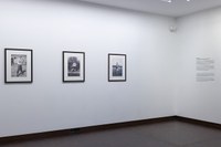 https://mediabank.vanabbemuseum.nl/vam/pcache/10010/72/_DSC7163_290c7.jpg