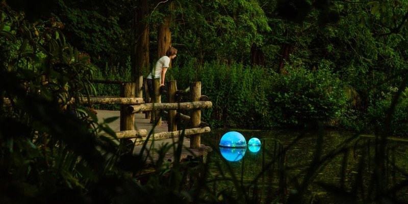 POND