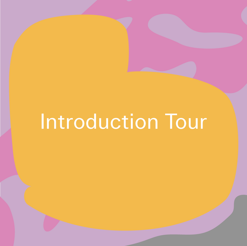 Introductie Tour